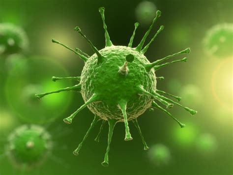 8 Aspects To Help You Know The Characteristics Of Viruses New Health