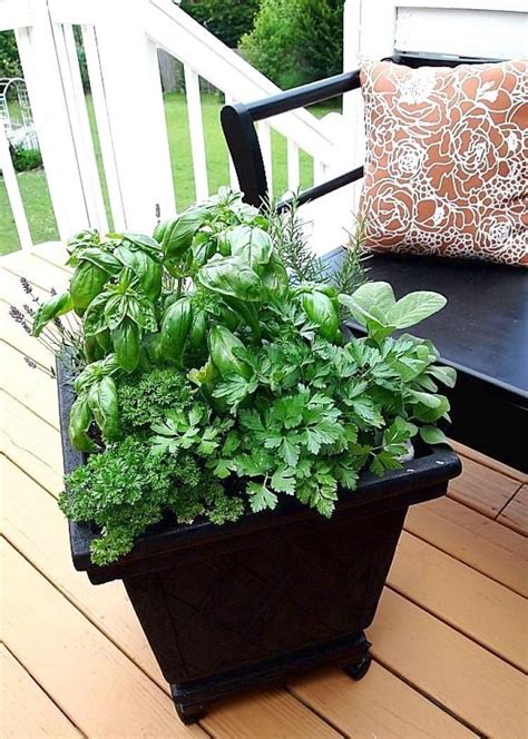 20 Marvelous Container Garden Ideas For Herbs Pots Container Herb