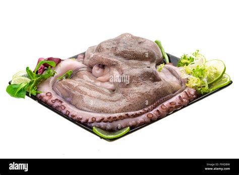 Raw Large Octopus Stock Photo Alamy