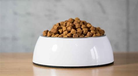 They only have 18 to 22 percent carbohydrates which is very low. Orijen Dog Food Reviews: Recall History, Ingredients & More