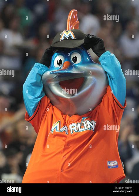 Miami Marlins Mascot Billy The Marlin Celebrates On The Dugout After