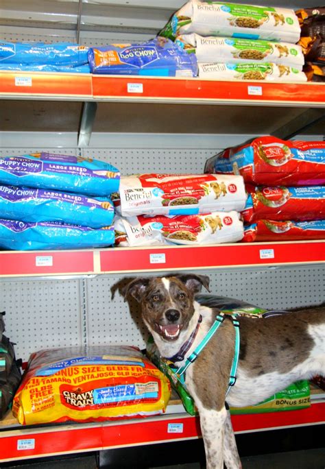Shop pet supplies at acehardware.com and get free store pickup at your neighborhood ace. A Trip With Our Dog to Tractor Supply #TractorSupply ...