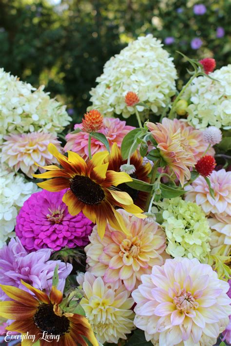 Late Summer Flowers And Memento Monday Morning Blooms