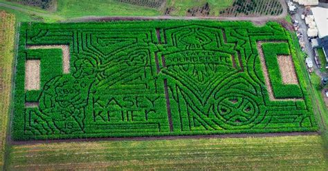 Builders Of Corn Mazes Hope To Lose Visitors And One Actually Did