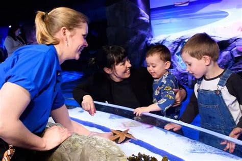 London Aquarium Tickets 2024 Buy Online And Skip The Line