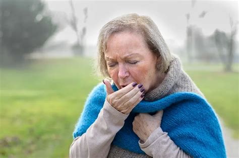 Allt Glich Bilden Gemeinschaft Feuchte Kalte Luft Bei Bronchitis