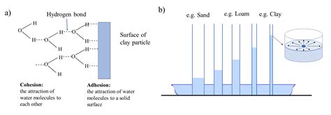 Soil Physics Digging Into Canadian Soils