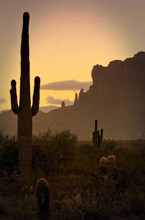 The Wild Wild West Arizona Desert Landscape Sepia Sonorandesert