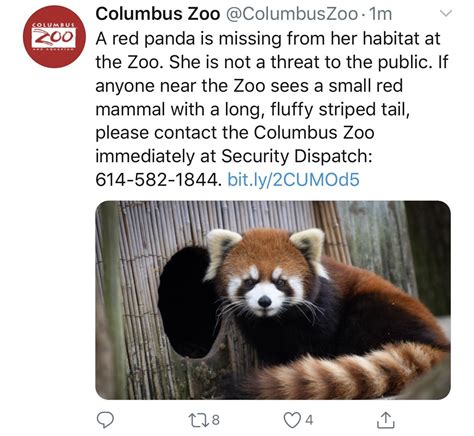 Please Follow Iloveredpandas We Have Another Escape To Panda On The