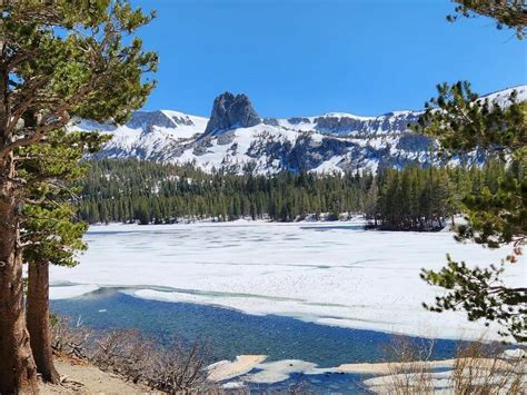 Lake Mary Fish Report Mammoth Lakes Ca Mono County