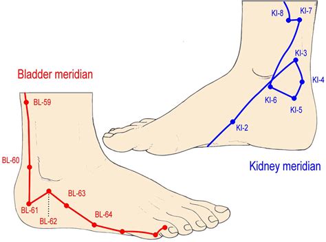 Crucial Critical Questions About The Acupuncture Meridian System