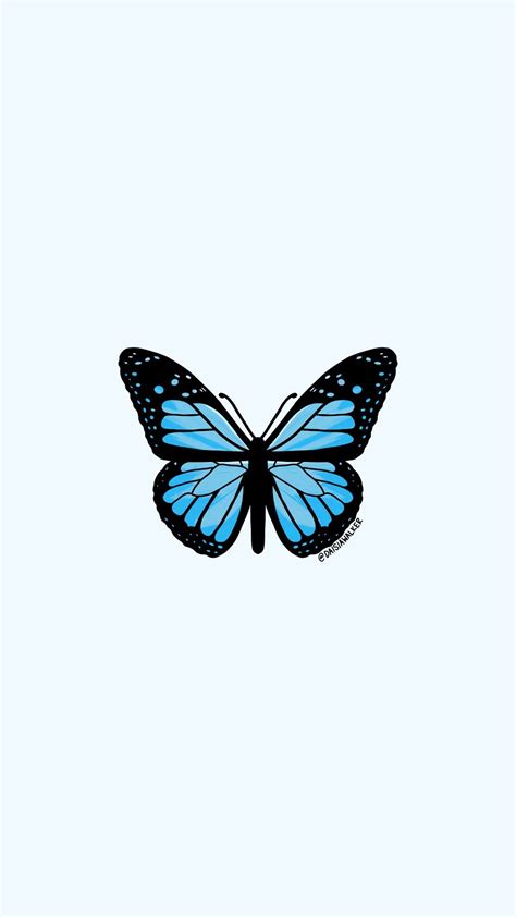 Light Blue Butterfly Butterfly Wallpaper Iphone Blue Butterfly