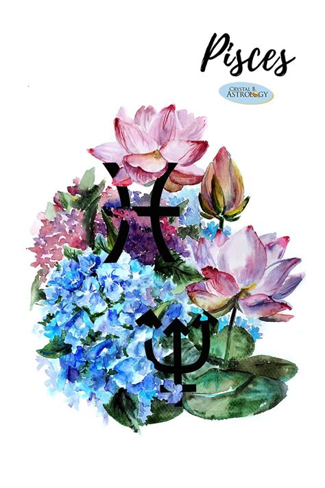 Pisces Flowers Pisces Flower Flower Drawing Astrology Pisces