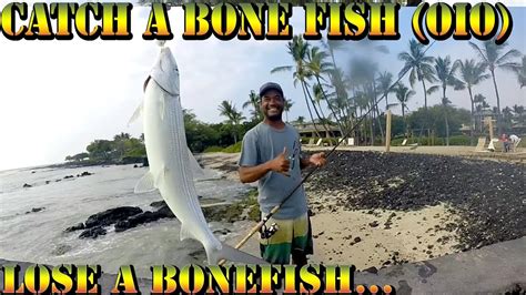 Catching Bone Fish Oio In Hawaii Big Island Hawaii Fishing Video