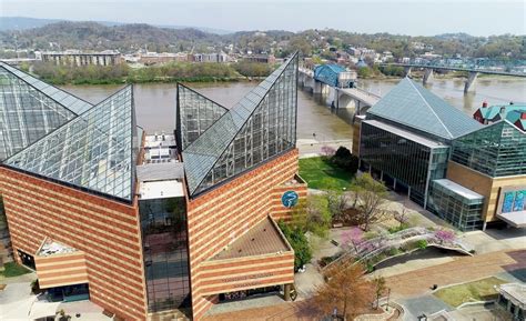 Tennessee Aquarium Ranks Among One Of Americas Best Aquariums
