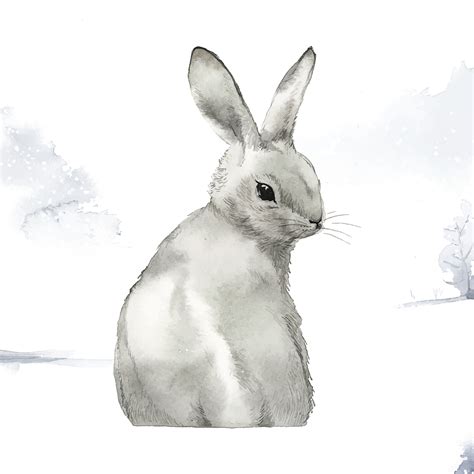 Wild Gray Rabbit In A Winter Wonderland Painted By Watercolor Vector