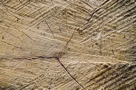 Otfchoppedwood03 16 High Resolution Chopped Wood Textur Flickr