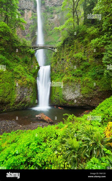 Multnomah Falls In The Columbia River Gorge Oregon Usa Stock Photo