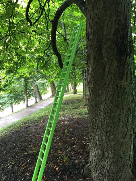 Ladders To Help Children Get Up To Neck Breaking Heights When Climbing