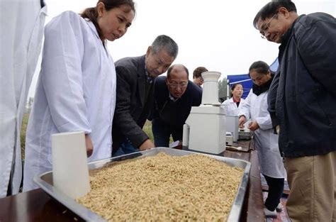 Chinese Super Hybrid Rice Sets New Yields World Record Cgtn