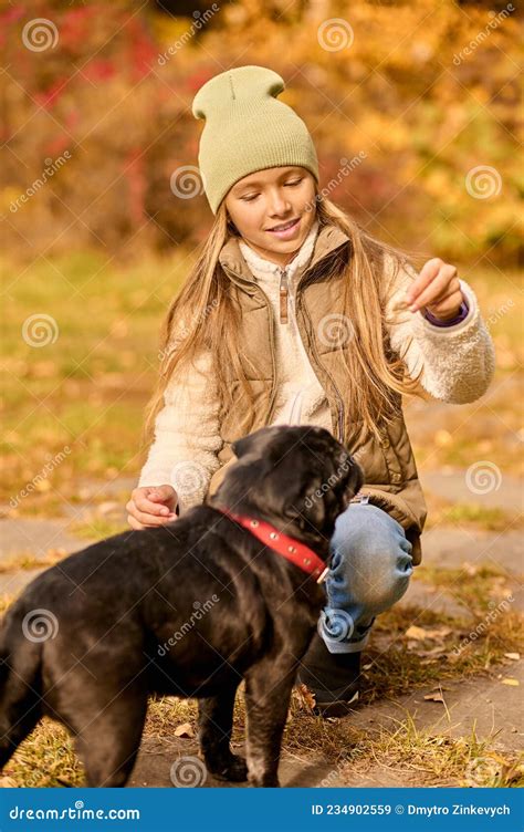 A Cute Girl Feeding Her Dog In The Park Stock Image Image Of Training