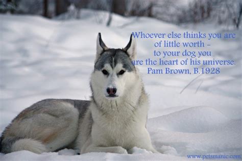 Dog Quotes Pets Manic Blog Page 2