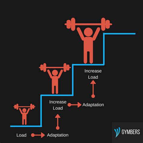 Progressive Overload What Is It And How To Use It Part 1 Gymbers