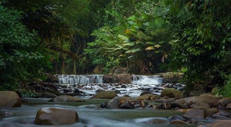 Kampung janda baik, 28750 bentong, pahang (google maps location). 11 Tempat Menarik Di Janda Baik Yang Pasti Buatkan Anda ...