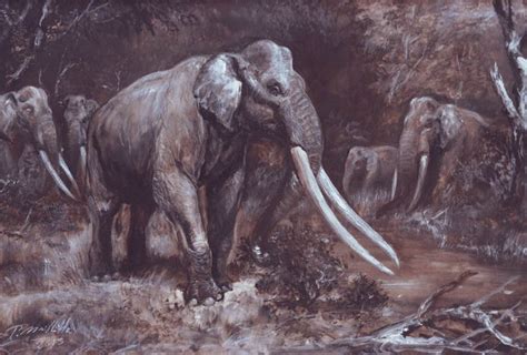 Palaeoloxodon Antiquus By Petr Modlitba Animais Extintos Animais Pré