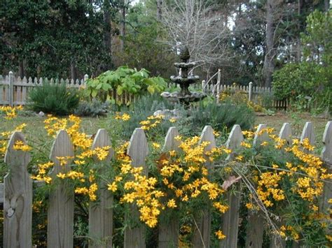 Cabins and tent camp sites provide overnight. Hodges Gardens in LA | Places to go, Favorite places, Jaunt