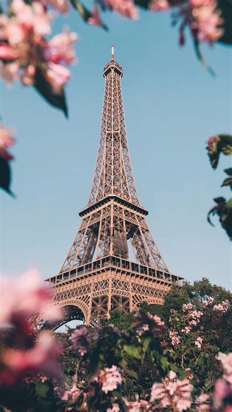 Fondos De Pantalla De La Torre Eiffel En Rosa Torre Torre Del Reloj