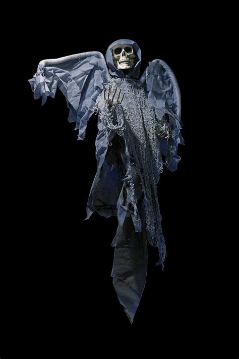 Skeleton Ghost Transparent Photograph By Nikolyn Mcdonald Pixels