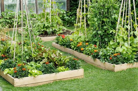 All About Raised Bed Gardens This Old House