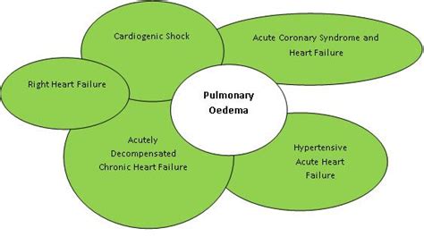 Cardiogenic Pulmonary Oedema Rcemlearning