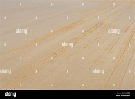 View Over Sand Beach With Tyre Tracks Concept Image With Space For