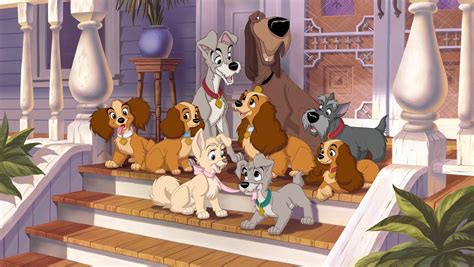 Lady And The Tramp Ii Scamps Adventure 2001 Desktop Wallpaper