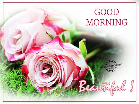 Good Morning Wishes For Wife Good Morning Pictures