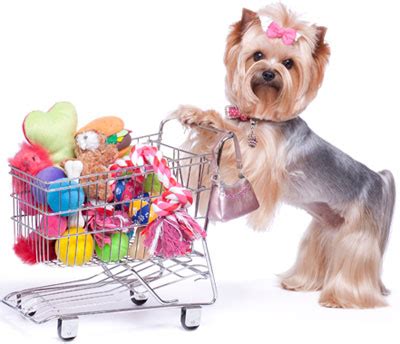 At the village groomer and pet supply our philosophy is to respect that connection between our clients and their humans, and treat every pet in our care as if they are our own. Pet Supplies Store | Vero Beach, Fla. 32960 | Pet Supply Store