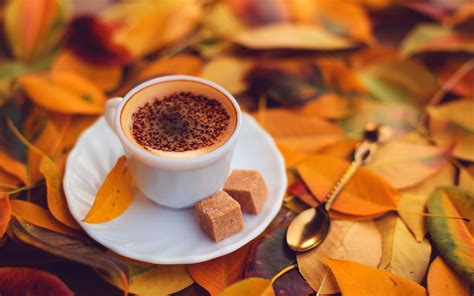 Autumn Coffee Wallpapers Top Free Autumn Coffee Backgrounds