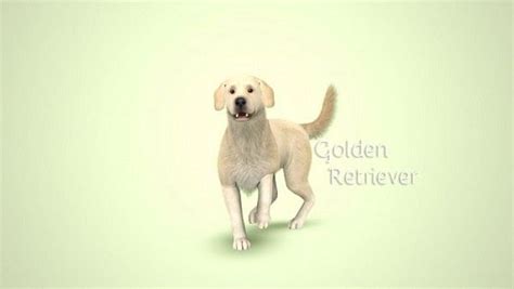 Golden Retriever By Morganabananasims Sims Pets Sims 4 Pets Sims 3