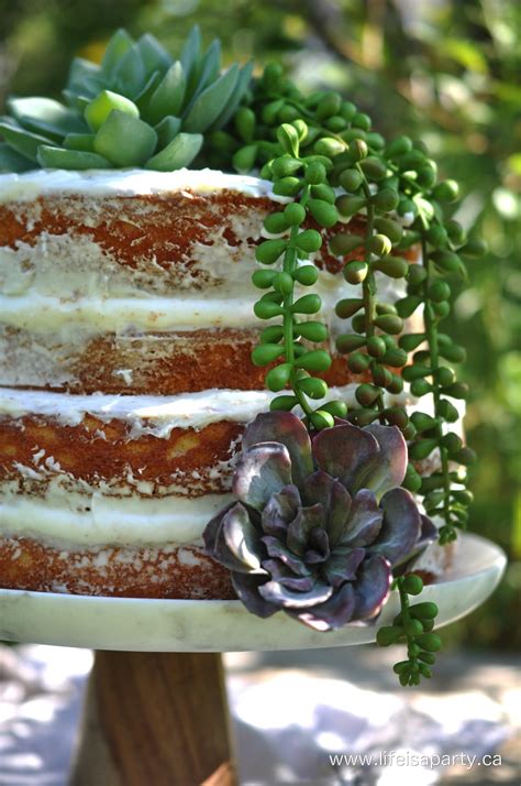 Succulent Naked Cake Life Is A Party