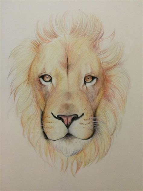 I feel like i must have look at hundreds before putting this together. 19+ Lion Drawing, Art Ideas, Sketches | Design Trends ...