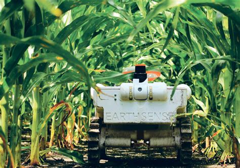 Weed Plucking Robot Roams Fields The Western Producer