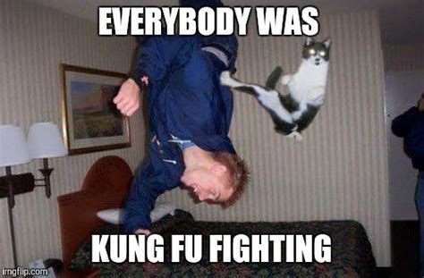 Image Tagged In Catkung Fu Imgflip
