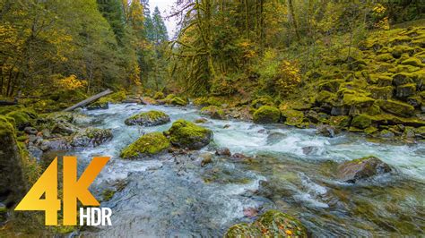 4k Fall Relaxation With Nature Sounds Autumn River 5 Hrs Proartinc