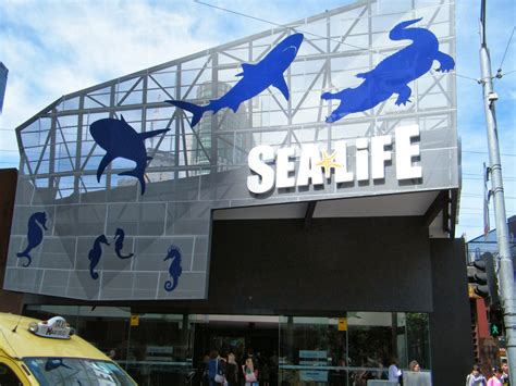 The Holiday And Travel Magazine Sea Life Melbourne Aquarium Victoria