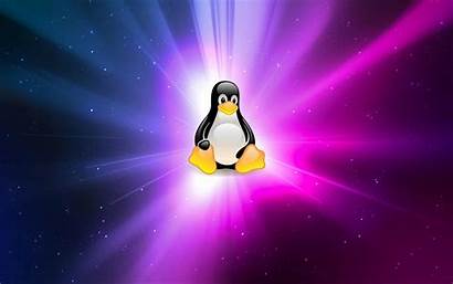 Linux Tux Penguin Wallpapers Backgrounds Tuxedo Wallpapersafari