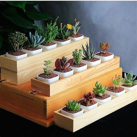 34 Inspiring Indoor Garden Succulent Ideas Magzhouse