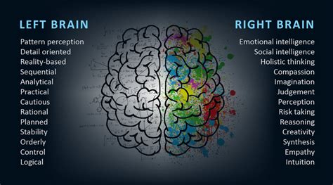 Difference Between Left Brain And Right Brain Education