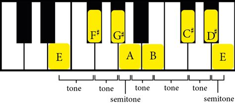 E Major Scale Explained A Music Theory Guide Jade Bultitude